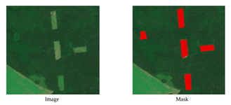 input image and desirable output of clearcuts detection