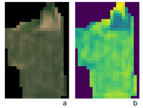 Sample field in RGB representation and its corresponding SWIR difference bands pseudocolor