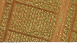 predictive analytics for agritech