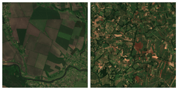 Satellite images of Ukrainian fields and South Africa