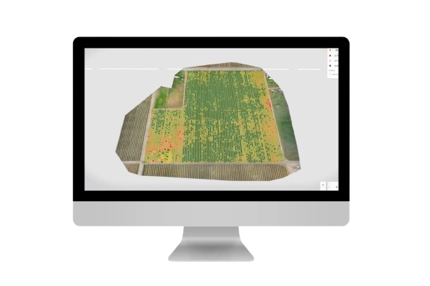 Precision farming AI solution