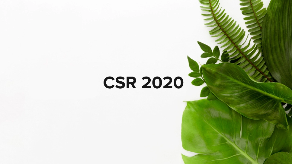 CSR-2020_2